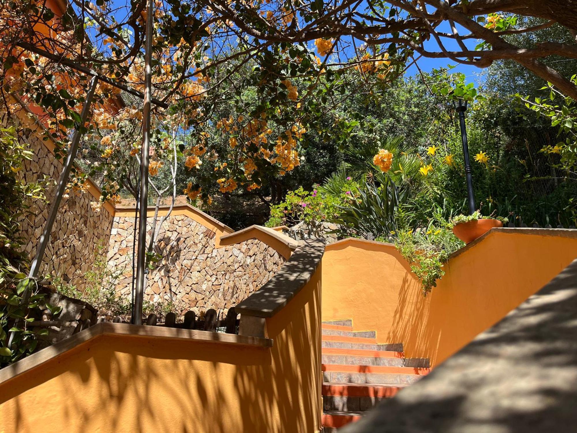 Villa Con Giardino Vista Mare กาปิตานา ภายนอก รูปภาพ